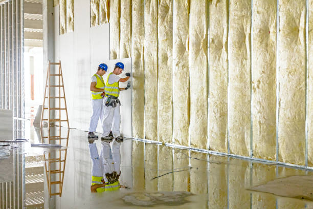 Best Commercial Insulation in Fort Lupton, CO